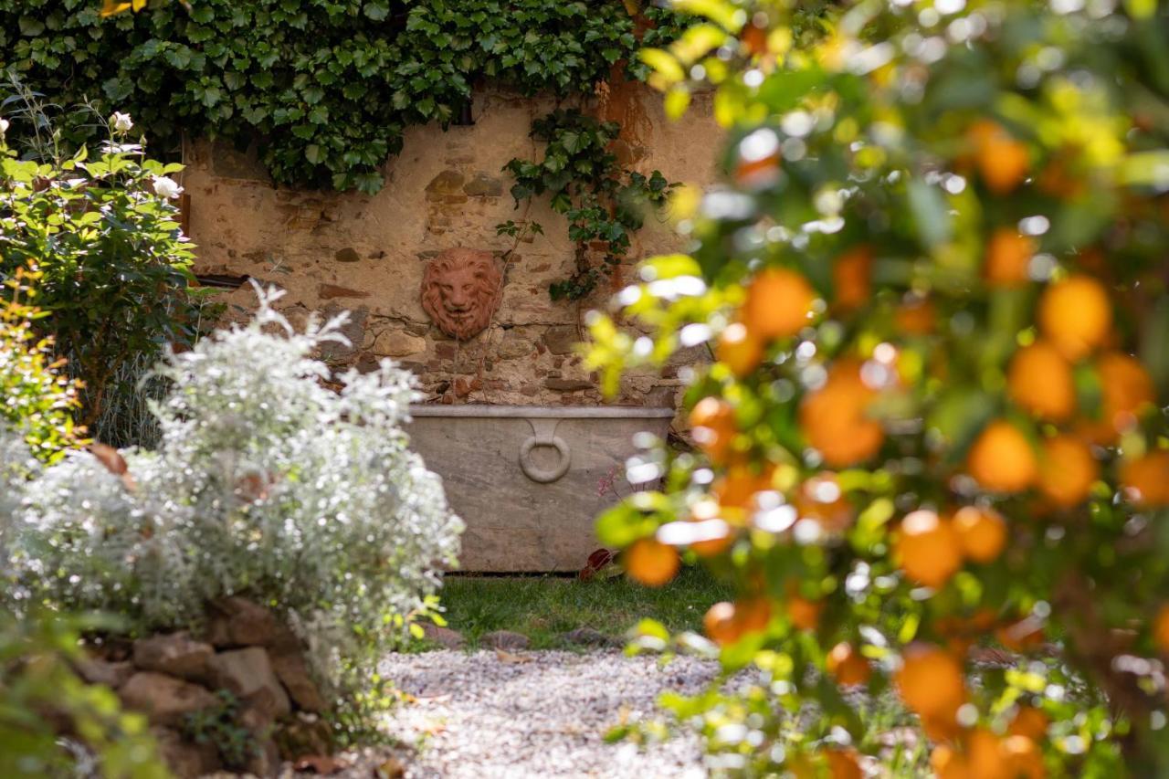Secret Garden Firenze B&B Екстериор снимка