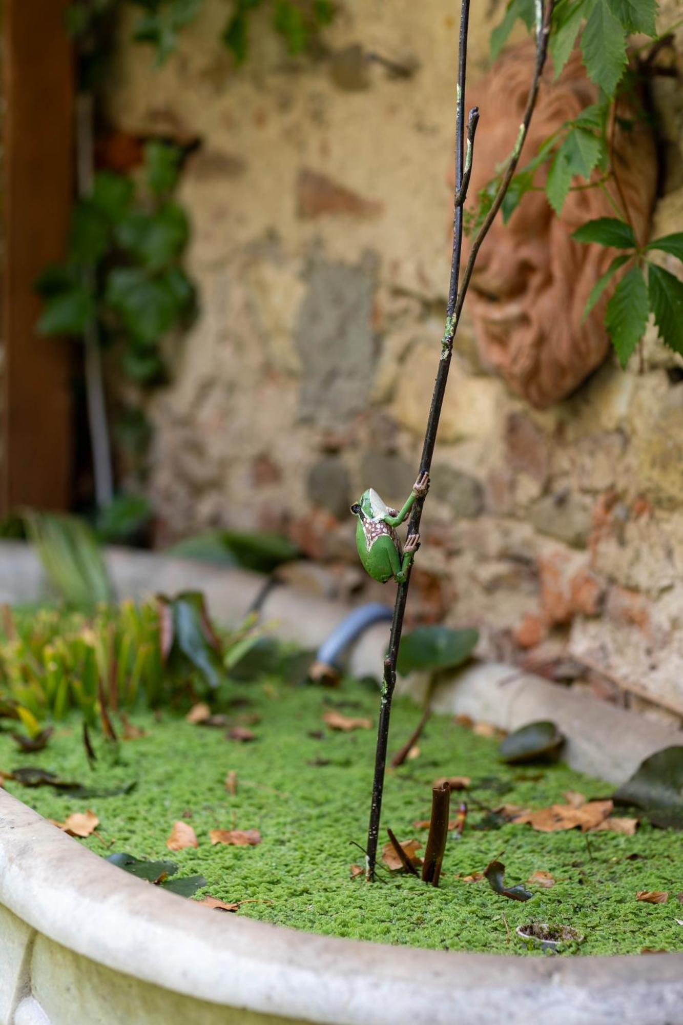 Secret Garden Firenze B&B Екстериор снимка