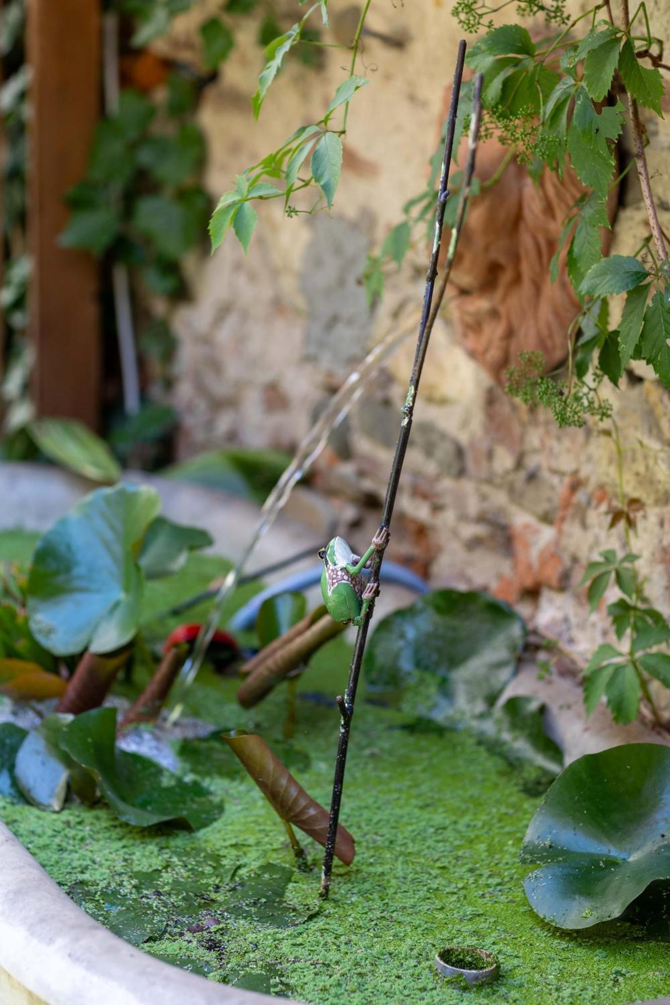 Secret Garden Firenze B&B Екстериор снимка
